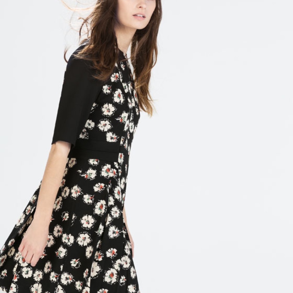 Zara Printed Pleated Dress, XS.